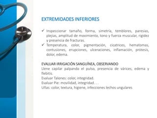 EXTREMIDADES INFERIORES
 Inspeccionar tamaño, forma, simetría, temblores, paresias,
plejias, amplitud de movimiento, tono y fuerza muscular, rigidez
y presencia de fracturas.
 Temperatura, color, pigmentación, cicatrices, hematomas,
contusiones, erupciones, ulceraciones, inflamación, prótesis,
dolor, edema.
EVALUAR IRRIGACIÓN SANGUÍNEA, OBSERVANDO
Llene capilar palpando el pulso, presencia de várices, edema y
flebitis.
Evaluar Talones: color, integridad.
Evaluar Pie: movilidad, integridad. . .
Uñas: color, textura, higiene, infecciones lechos ungulares
 
