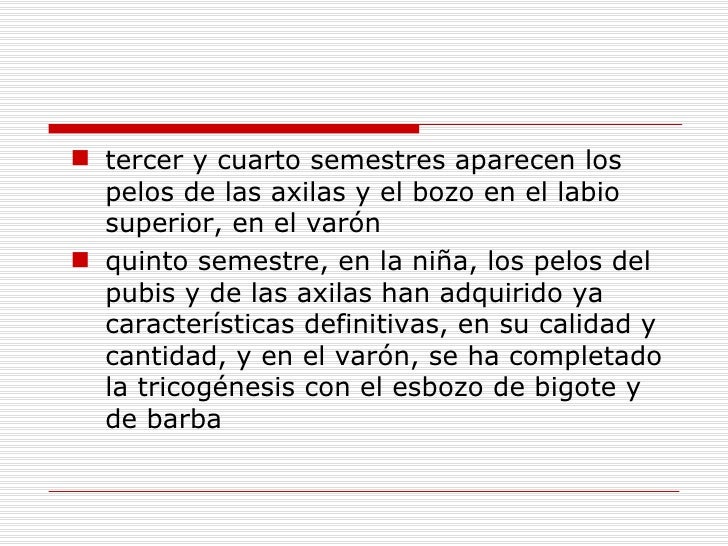 Bueno la máscara contra la sección de los cabello