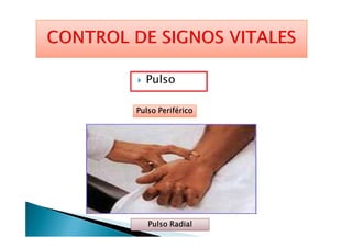 Pulso
Pulso PeriféricoPulso PeriféricoPulso PeriféricoPulso Periférico
Pulso RadialPulso RadialPulso RadialPulso Radial
 