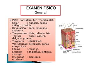 Piel: Considerar luz, T° ambiental.Piel: Considerar luz, T° ambiental.
- Color : cianosis, pálida,
vitíligo, ictericia...
- Hidratación : seca, hidratada,
sudorosa.
- Temperatura: tibia, caliente, fría.- Temperatura: tibia, caliente, fría.
- Textura : suave, áspera,
delgada, gruesa..
- Turgencia : elasticidad.
- Vascularidad: petequias, zonas
enrojecidas.
- Edema : causa ¿?.
- Lesiones : angiomas, léntigos,
verrugas...
- Integridad : cicatrices,
erosiones...
 