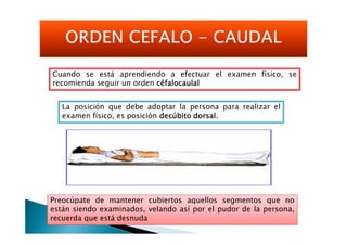 Cuando se está aprendiendo a efectuar el examen físico, se
recomienda seguir un orden céfalocaulalcéfalocaulalcéfalocaulalcéfalocaulal
La posición que debe adoptar la persona para realizar el
examen físico, es posición decúbitodecúbitodecúbitodecúbito dorsaldorsaldorsaldorsal....
Preocúpate de mantener cubiertos aquellos segmentos que no
están siendo examinados, velando así por el pudor de la persona,
recuerda que está desnuda
 