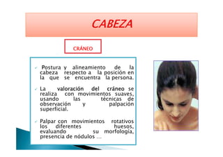 CRÁNEOCRÁNEOCRÁNEOCRÁNEO
PPPPostura y alineamiento de la
cabeza respecto a la posición en
la que se encuentra la persona.la que se encuentra la persona.
La valoraciónvaloraciónvaloraciónvaloración deldeldeldel cráneocráneocráneocráneo se
realiza con movimientos suaves,
usando las técnicas de
observación y palpación
superficial.
Palpar con movimientos rotativos
los diferentes huesos,
evaluando su morfología,
presencia de nódulos …
 