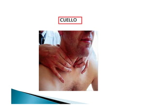 CUELLOCUELLOCUELLOCUELLO
 