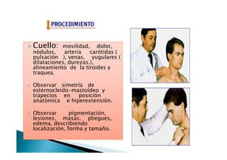 Cuello:Cuello: movilidad, dolor,
nódulos, arteria carótidas (
pulsación ), venas, yugulares (
dilataciones, durezas.),
alineamiento de la tiroides y
traquea.
Observar simetría de
esternocleido-mastoídeo y
trapecios en posición
anatómica e hiperextensión.
Observar pigmentación,
lesiones, masas, pliegues,
edema, describiendo
localización, forma y tamaño.
 
