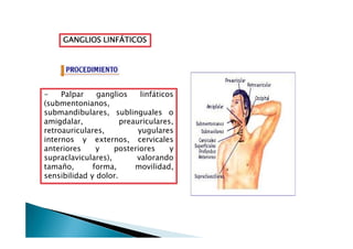 GANGLIOS LINFÁTICOSGANGLIOS LINFÁTICOSGANGLIOS LINFÁTICOSGANGLIOS LINFÁTICOS
- Palpar ganglios linfáticos
(submentonianos,
submandibulares, sublinguales o
amigdalar, preauriculares,amigdalar, preauriculares,
retroauriculares, yugulares
internos y externos, cervicales
anteriores y posteriores y
supraclaviculares), valorando
tamaño, forma, movilidad,
sensibilidad y dolor.
 