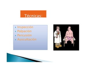 InspecciónInspección
PalpaciónPalpación
Percusión
Auscultación
 
