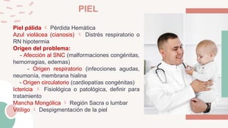 EXAMEN FISICO PEDIATRICO NIÑO Y DEL ADOLESCENTE | PPTX