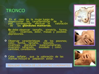 TRONCO
 En el caso de la mujer luego de
inspeccionar las características de la
piel, corresponde efectuar la valoración
de las glándulas mamarias.
Se debe observar tamaño, simetría, forma,
color, cicatrices, dolor, masas y posibles
depresiones.
 Observar características de los pezones;
color, forma, tamaño, lesiones,
cicatrices, glándulas supernumerarias,
inversión, sangrado, exudado ( color,
cantidad, consistencia
 Cabe señalar, que la valoración de las
mamas incluye la palpación axilar.
REALIZAR TECNICA DE LOS CUATRO CUADRANTES
 
