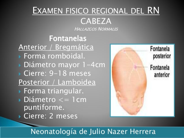Exploracion fisica otorrinolaringologia pdf to excel
