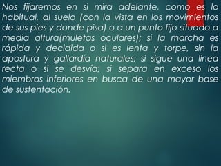 Nos fijaremos en si mira adelante, como es lo
habitual, al suelo (con la vista en los movimientos
de sus pies y donde pisa) o a un punto fijo situado a
media altura(muletas oculares); si la marcha es
rápida y decidida o si es lenta y torpe, sin la
apostura y gallardía naturales; si sigue una línea
recta o si se desvía; si separa en exceso los
miembros inferiores en busca de una mayor base
de sustentación.
 