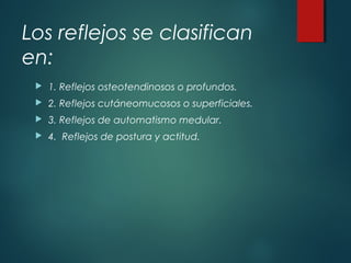 Los reflejos se clasifican
en:
 1. Reflejos osteotendinosos o profundos.
 2. Reflejos cutáneomucosos o superficiales.
 3. Reflejos de automatismo medular.
 4.  Reflejos de postura y actitud.
 