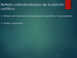 Reflejos osteotendinosos de la porción
cefálica
 Reflejos del orbicular de los párpados. Superciliar y nasopalpebral
 Reflejo maseterino.
 