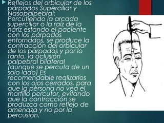  Reflejos del orbicular de los
párpados Superciliar y
Nasopalpebral:
Percutiendo la arcada
superciliar o la raíz de la
nariz estando el paciente
con los párpados
entornados, se produce la
contracción del orbicular
de los párpados y por lo
tanto, la oclusión
palpebral bilateral
(aunque se percuta de un
solo lado) Es
recomendable realizarlos
con los ojos cerrados, para
que la persona no vea el
martillo percutor, evitando
que la contracción se
produzca como reflejo de
amenaza y no por la
percusión.
 