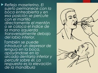  Reflejo maseterino. El
sujeto permanece con la
boca entreabierta y en
esa posición se percute
con el martillo
directamente el mentón
o se coloca el índice de
la mano izquierda
transversalmente debajo
del labio inferior.
También se puede
introducir un depresor de
lengua en la boca,
apoyándose en la
arcada dentaria inferior y
percutir sobre él. La
respuesta es la elevación
de la mandíbula
 