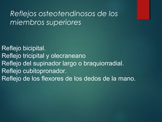 Reflejos osteotendinosos de los
miembros superiores
Reflejo bicipital.
Reflejo tricipital y olecraneano
Reflejo del supinador largo o braquiorradial.
Reflejo cubitopronador.
Reflejo de los flexores de los dedos de la mano.
 