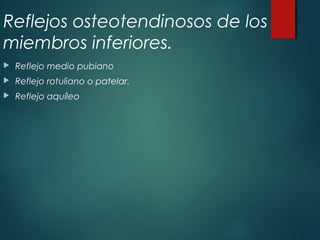 Reflejos osteotendinosos de los
miembros inferiores.
 Reflejo medio pubiano
 Reflejo rotuliano o patelar.
 Reflejo aquíleo
 