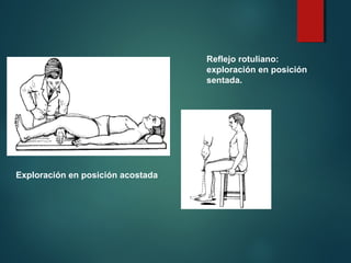 Exploración en posición acostada
Reflejo rotuliano:
exploración en posición
sentada.
 