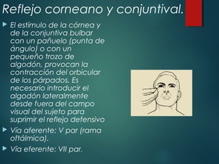 Reflejo corneano y conjuntival.
 El estímulo de la córnea y
de la conjuntiva bulbar
con un pañuelo (punta de
ángulo) o con un
pequeño trozo de
algodón, provocan la
contracción del orbicular
de los párpados. Es
necesario introducir el
algodón lateralmente
desde fuera del campo
visual del sujeto para
suprimir el reflejo defensivo
 Vía aferente: V par (rama
oftálmica).
 Vía eferente: VII par.
 
