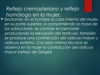 Reflejo cremasteriano y reflejo
homólogo en la mujer.
 Excitando en el hombre la cara interna del muslo,
en su parte superior, o comprimiendo la masa de
los adductores, se contrae el cremáster
produciendo la elevación del testículo; también
se produce una contracción del oblicuo mayor u
oblicuo externo. Con esta misma técnica se
observa en la mujer la contracción del oblicuo
mayor (reflejo de Geigel).
 