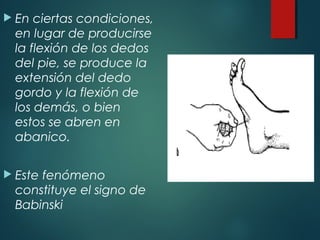  En ciertas condiciones,
en lugar de producirse
la flexión de los dedos
del pie, se produce la
extensión del dedo
gordo y la flexión de
los demás, o bien
estos se abren en
abanico.
 Este fenómeno
constituye el signo de
Babinski
 