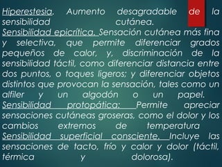 Hiperestesia. Aumento desagradable de la
sensibilidad cutánea.
Sensibilidad epicrítica. Sensación cutánea más fina
y selectiva, que permite diferenciar grados
pequeños de calor, y, discriminación de la
sensibilidad táctil, como diferenciar distancia entre
dos puntos, o toques ligeros; y diferenciar objetos
distintos que provocan la sensación, tales como un
alfiler y un algodón o un papel.
Sensibilidad protopática: Permite apreciar
sensaciones cutáneas groseras, como el dolor y los
cambios extremos de temperatura
Sensibilidad superficial consciente. Incluye las
sensaciones de tacto, frío y calor y dolor (táctil,
térmica y dolorosa).
 