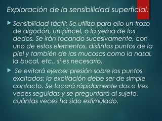 Exploración de la sensibilidad superficial.
 Sensibilidad táctil: Se utiliza para ello un trozo
de algodón, un pincel, o la yema de los
dedos. Se irán tocando sucesivamente, con
uno de estos elementos, distintos puntos de la
piel y también de las mucosas como la nasal,
la bucal, etc., si es necesario.
 Se evitará ejercer presión sobre los puntos
excitados; la excitación debe ser de simple
contacto. Se tocará rápidamente dos o tres
veces seguidas y se preguntará al sujeto,
cuántas veces ha sido estimulado.
 