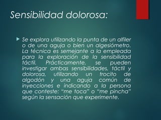 Sensibilidad dolorosa:
 Se explora utilizando la punta de un alfiler
o de una aguja o bien un algesiómetro.
La técnica es semejante a la empleada
para la exploración de la sensibilidad
táctil. Prácticamente, se pueden
investigar ambas sensibilidades, táctil y
dolorosa, utilizando un trocito de
algodón y una aguja común de
inyecciones e indicando a la persona
que conteste: “me toca” o “me pincha”
según la sensación que experimente.
 