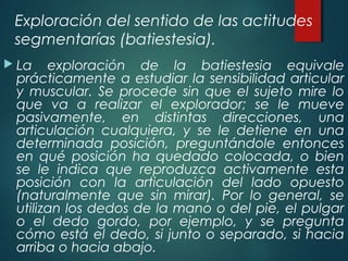 Exploración del sentido de las actitudes
segmentarías (batiestesia).
 La exploración de la batiestesia equivale
prácticamente a estudiar la sensibilidad articular
y muscular. Se procede sin que el sujeto mire lo
que va a realizar el explorador; se le mueve
pasivamente, en distintas direcciones, una
articulación cualquiera, y se le detiene en una
determinada posición, preguntándole entonces
en qué posición ha quedado colocada, o bien
se le indica que reproduzca activamente esta
posición con la articulación del lado opuesto
(naturalmente que sin mirar). Por lo general, se
utilizan los dedos de la mano o del pie, el pulgar
o el dedo gordo, por ejemplo, y se pregunta
cómo está el dedo, si junto o separado, si hacia
arriba o hacia abajo.
 