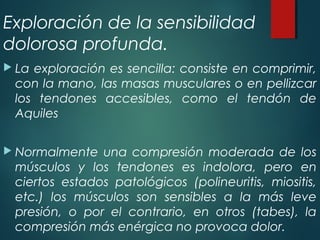 Exploración de la sensibilidad
dolorosa profunda.
 La exploración es sencilla: consiste en comprimir,
con la mano, las masas musculares o en pellizcar
los tendones accesibles, como el tendón de
Aquiles
 Normalmente una compresión moderada de los
músculos y los tendones es indolora, pero en
ciertos estados patológicos (polineuritis, miositis,
etc.) los músculos son sensibles a la más leve
presión, o por el contrario, en otros (tabes), la
compresión más enérgica no provoca dolor.
 
