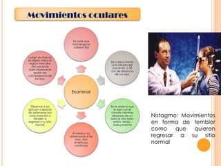 Movimientos oculares
Se pide que
mantenga la
cabeza fija
Luego se acerca
el objeto hasta la
región interciliar
del paciente
para observar el
grado de
convergencia de
los ojos.

Se coloca frente
a la mirada del
paciente a 30
cm de distancia
de sus ojos.

Examinar
Observar si los
ojos son capaces
de detenerse por
unos instantes o
tienden a
regresar a su sitio
normal.

Se le ordena que
le siga con la
mirada mientras
desplaza de un
lado al otro lado,
arriba, abajo.,
oblicuamente
El médico va
observando si los
mov. Son
simétricos,
continuos

Nistagmo: Movimientos
en forma de temblor
como
que
quieren
regresar a su sitio
normal

 