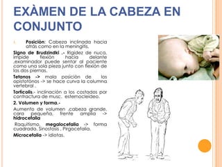 EXÀMEN DE LA CABEZA EN
CONJUNTO
Posiciòn: Cabeza inclinada hacia
atrás como en la meningitis.
Signo de Brudzindki .- Rigidez de nuca,
impide
flexión
hacia
delante
,examinador puede sentar al paciente
como una sola pieza junto con flexión de
las dos piernas.
Tetanos -> mala posiciòn de
los
opistotònos -> se hace curva la columna
vertebral .
Tortìcolis.- inclinación a los costados por
contractura de musc. esternocleideo.
2. Volumen y forma.Aumento de volumen .cabeza grande,
cara pequeña, frente amplia ->
hidrocefalia
Raquitismo, megalocefalia -> forma
cuadrada. Sinostosis , Pirgocefalia.
Microcefalia -> idiotas.
1.

 