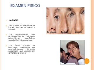 EXAMEN FISICO









LA NARIZ:
se lo realiza mediante la
inspección de su forma y
tamaño
Las deformidades que
acompañan a
algunas
alteraciones
congénitas
son de fácil observación
Las
fosas
nasales
se
examinan mediante un
procedimiento
llamado
rinoscopia que puede ser
anterior o posterior

 