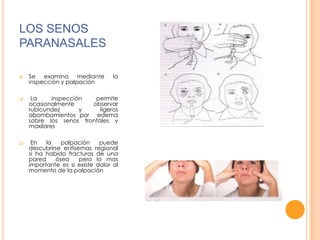 LOS SENOS
PARANASALES






Se examina mediante
inspección y palpación

la

La
inspección
permite
ocasionalmente
observar
rubicundez
y
ligeros
abombamientos por edema
sobre los senos frontales y
maxilares
En
la
palpación
puede
descubrirse enfisemas regional
si ha habido fracturas de una
pared
ósea
pero lo mas
importante es si existe dolor al
momento de la palpación

 