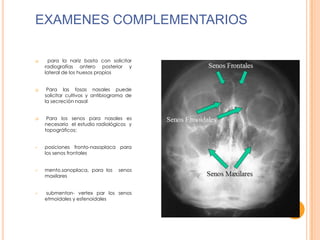 EXAMENES COMPLEMENTARIOS












para la nariz basta con solicitar
radiografías antero posterior y
lateral de los huesos propios
Para las fosas nasales puede
solicitar cultivos y antibiograma de
la secreción nasal
Para los senos para nasales es
necesario el estudio radiológicos y
topográficos:
posiciones fronto-nasoplaca para
los senos frontales
mento.sanoplaca, para los
maxilares

senos

submenton- vertex par los senos
etmoidales y esfenoidales

 