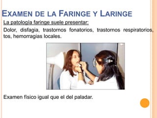 EXAMEN DE LA FARINGE Y LARINGE
La patología faringe suele presentar:
Dolor, disfagia, trastornos fonatorios, trastornos respiratorios,
tos, hemorragias locales.

Examen físico igual que el del paladar.

 