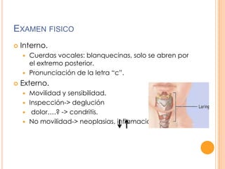EXAMEN FISICO


Interno.
Cuerdas vocales: blanquecinas, solo se abren por
el extremo posterior.
 Pronunciación de la letra “c”.




Externo.
Movilidad y sensibilidad.
 Inspección-> deglución
 dolor….? -> condritis.
 No movilidad-> neoplasias, inflamación.


 