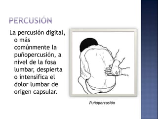 sistema-endocrino-ppsx