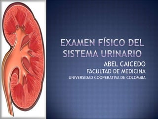 EXAMEN FÍSICO DELSISTEMA URINARIO ABEL CAICEDO FACULTAD DE MEDICINA UNIVERSIDAD COOPERATIVA DE COLOMBIA 