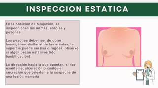 EXAMEN FÍSICO FEMENINO Y MASCULINO_20240227_064445_0000.pdf