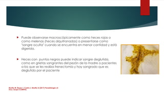 Heces Rojas Examen general de Heces, Wright y Coprocultivo.pptx