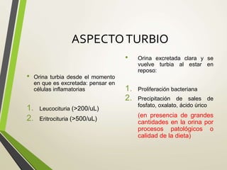 ASPECTOTURBIO
• Orina turbia desde el momento
en que es excretada: pensar en
células inflamatorias
1. Leucocituria (>200/uL)
2. Eritrocituria (>500/uL)
• Orina excretada clara y se
vuelve turbia al estar en
reposo:
1. Proliferación bacteriana
2. Precipitación de sales de
fosfato, oxalato, ácido úrico
(en presencia de grandes
cantidades en la orina por
procesos patológicos o
calidad de la dieta)
 