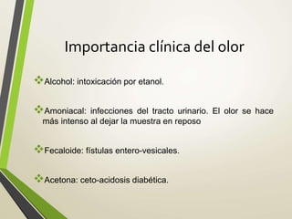 Importancia clínica del olor
Alcohol: intoxicación por etanol.
Amoniacal: infecciones del tracto urinario. El olor se hace
más intenso al dejar la muestra en reposo
Fecaloide: fístulas entero-vesicales.
Acetona: ceto-acidosis diabética.
 