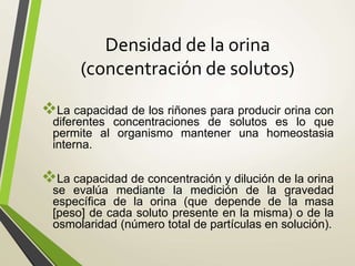 Densidad de la orina
(concentración de solutos)
La capacidad de los riñones para producir orina con
diferentes concentraciones de solutos es lo que
permite al organismo mantener una homeostasia
interna.
La capacidad de concentración y dilución de la orina
se evalúa mediante la medición de la gravedad
específica de la orina (que depende de la masa
[peso] de cada soluto presente en la misma) o de la
osmolaridad (número total de partículas en solución).
 