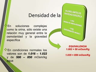Densidad de la orina
En soluciones complejas
como la orina, sólo existe una
relación muy general entre la
osmolaridad y la gravedad
específica
En condiciones normales los
valores son de 1.016 – 1.022
y de 500 – 850 mOsm/kg
agua
EQUIVALENCIA
1.002 = 50 mOsm/Kg
1.035 = 850 mOsm/Kg
 