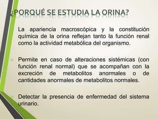 ¿PORQUÉ SE ESTUDIA LA ORINA?
 La apariencia macroscópica y la constitución
química de la orina reflejan tanto la función renal
como la actividad metabólica del organismo.
 Permite en caso de alteraciones sistémicas (con
función renal normal) que se acompañan con la
excreción de metabolitos anormales o de
cantidades anormales de metabolitos normales.
 Detectar la presencia de enfermedad del sistema
urinario.
 