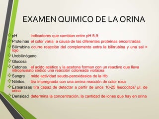 EXAMEN QUIMICO DE LA ORINA
pH indicadores que cambian entre pH 5-9
Proteínas el color varía a causa de las diferentes proteínas encontradas
Bilirrubina ocurre reacción del complemento entre la bilirrubina y una sal =
rojo
Urobilinógeno
Glucosa
Cetonas el acido acético y la acetona forman con un reactivo que lleva
nitroprusiato sódico una reacción coloreada violácea
Sangre mide actividad seudo-peroxidasica de la Hb
Nitritos tira impregnada con una amina reacción de color rosa
Estearasas tira capaz de detectar a partir de unos 10-25 leucocitos/ μl. de
orina
Densidad determina la concentración, la cantidad de iones que hay en orina
 