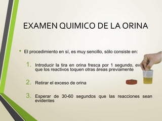 EXAMEN QUIMICO DE LA ORINA
• El procedimiento en sí, es muy sencillo, sólo consiste en:
1. Introducir la tira en orina fresca por 1 segundo, evitando
que los reactivos toquen otras áreas previamente
2. Retirar el exceso de orina
3. Esperar de 30-60 segundos que las reacciones sean
evidentes
 