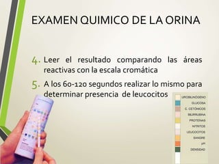 EXAMEN QUIMICO DE LA ORINA
4. Leer el resultado comparando las áreas
reactivas con la escala cromática
5. A los 60-120 segundos realizar lo mismo para
determinar presencia de leucocitos
 