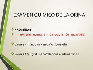 EXAMEN QUIMICO DE LA ORINA
PROTEÍNAS
 excreción normal: 0 – 10 mg/dL (± 100 mg/m²/día)
Valores > 1 gr/dL indican daño glomerular
Valores ≥ 3.5 gr/dL se correlaciona a edema clínico
 