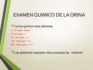 EXAMEN QUIMICO DE LA ORINA
La tira química mide albúmina
5 – 10 mg/dL = trazas
15 - 30 mg/dL = +
40 – 100 mg/dL = ++
150 – 350 mg/dL = +++
600 – 2000 mg/dL = ++++
Las globulinas requieren otros procesos de medición
 